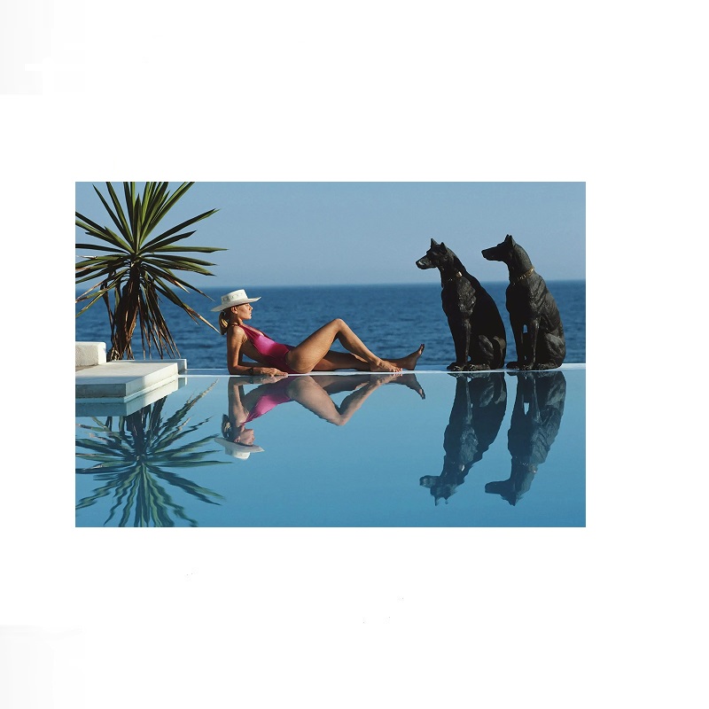 Retro Poolside Host Luxury Lif - Luxury Lifestyle Living recensione e prezzo